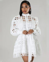 Tint Of Love Lace Dress